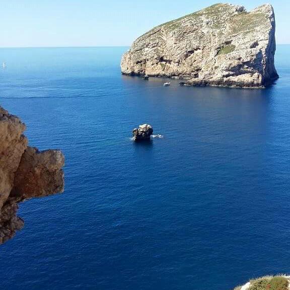 ألغيرو White Beach الغرفة الصورة